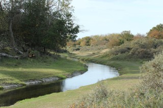 aw-duinen-25